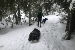 Hiker pulling pulk through snow to winter campsite