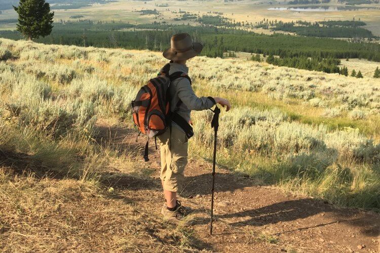 hiking with one trekking pole