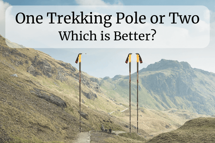One Trekking Pole or Two