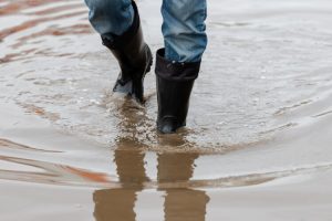 A person wearing black winter boots and blue jeans walking through a large muddy puddle, creating ripples in the water.