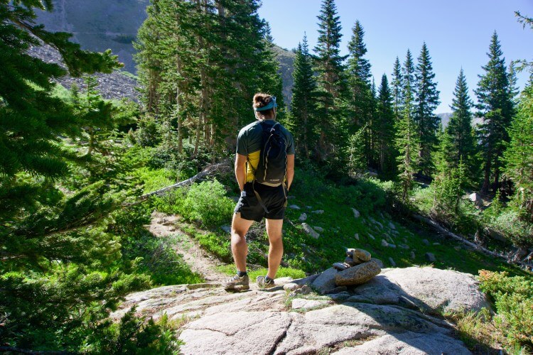 Hiking in the forest