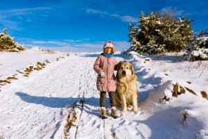 Can You Snowshoe With Your Dog