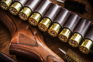 A close-up image of a brown leather rifle ammunition belt loaded with shiny golden bullets, designed for adaptive hunting, alongside the wooden stock of a rifle and a cleaning brush.