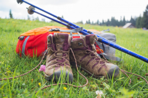 Best Fishing Rods For Backpacking