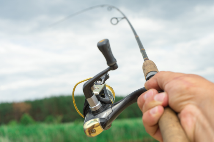 The 5 Best Fishing Pole Holder For Wheelchair Users