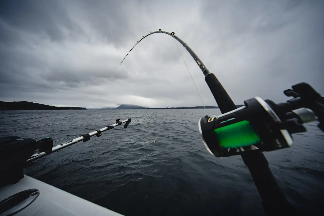 A Green Fishing Rod Adaptive Outdoor Equipment