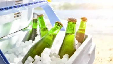 Best Camping Fridges, Beer Chilled On Ice In Camping Fridge