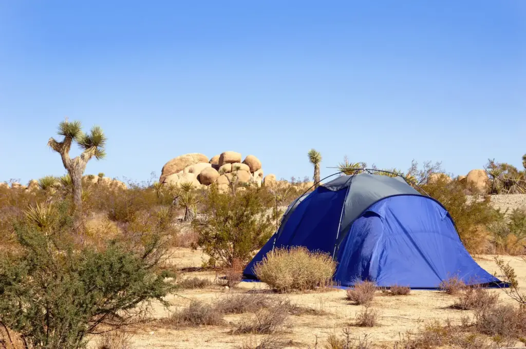 Blue Camping Tent 
