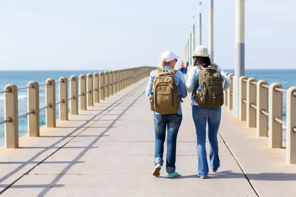 Two Travelers Carrying a Backpack While Walking in the Bridge