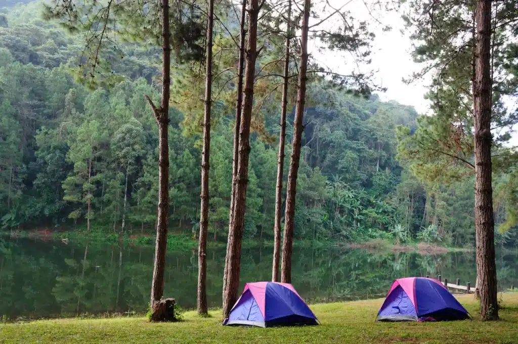 Camping Bannwaldsee Near the Lake