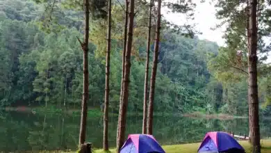 Camping Bannwaldsee Near the Lake
