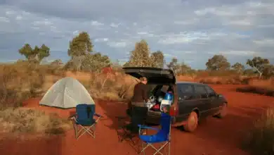 Lady Camping Guide for Australia