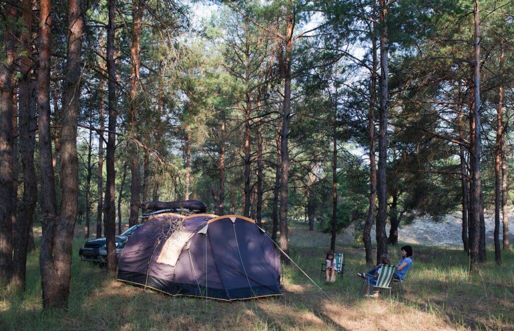 Camping in the Forest 