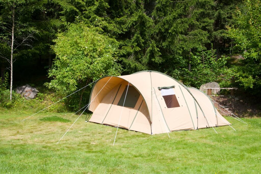 Campsite in the Woods 