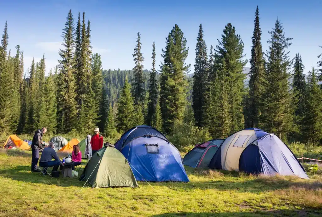 A Family Enjoying Camping Holiday in the forest